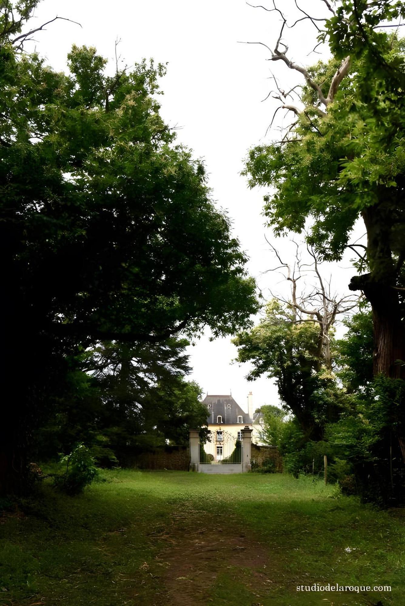 Domaine De La Briouse Bed and Breakfast Sanxay Exteriör bild