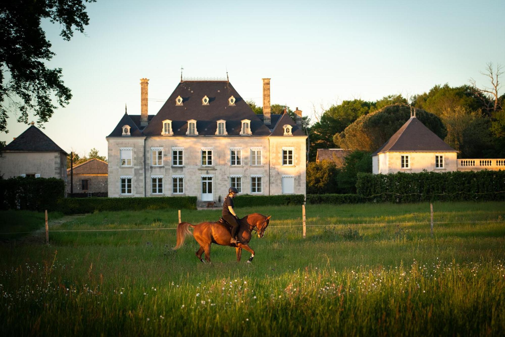 Domaine De La Briouse Bed and Breakfast Sanxay Exteriör bild
