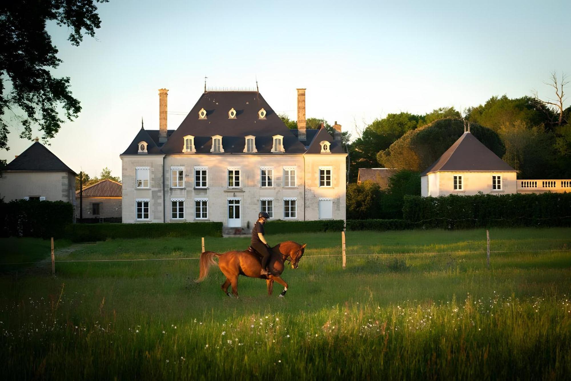 Domaine De La Briouse Bed and Breakfast Sanxay Exteriör bild